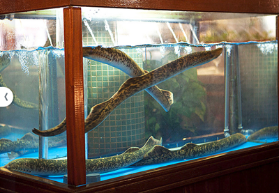 Capturar3.PNG Capturar3.PNG