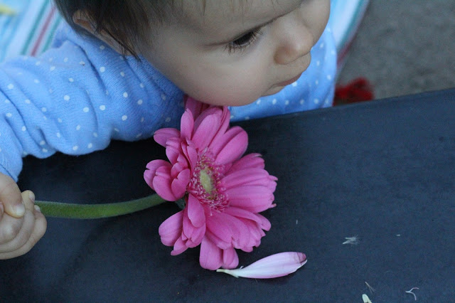 flores + crianças + quarto + decoração + brinquedos + gatinhar + desarrumar quatro das crianças