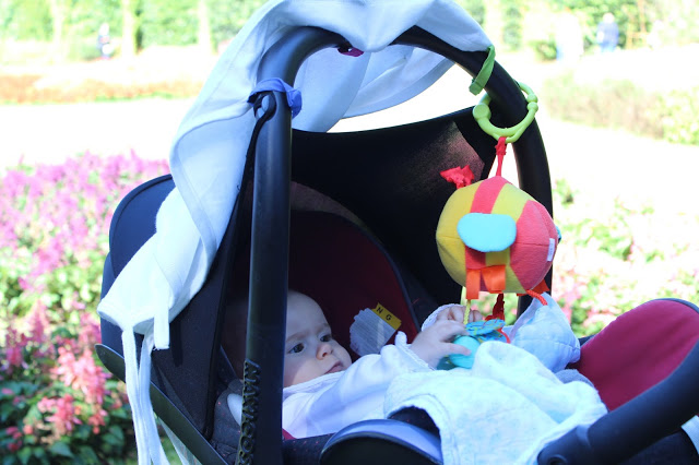 açores + azores + seis meses + bebé + parque terra nostra + amamentação + alimentação complementar 