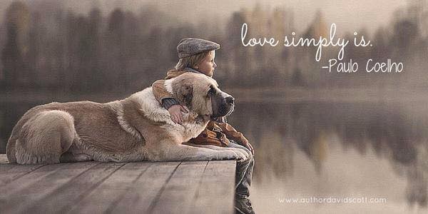 11146572_1586917398238739_6773221942351068012_n.jp