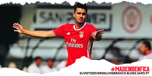 Benfica Eclético: Basquetebol SL Benfica - 2016/2017