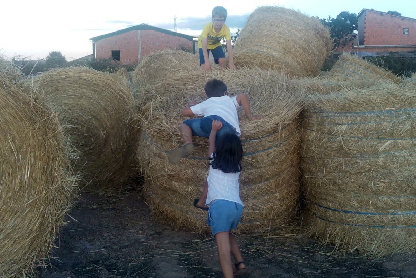 PNM25 by HContadas.jpg