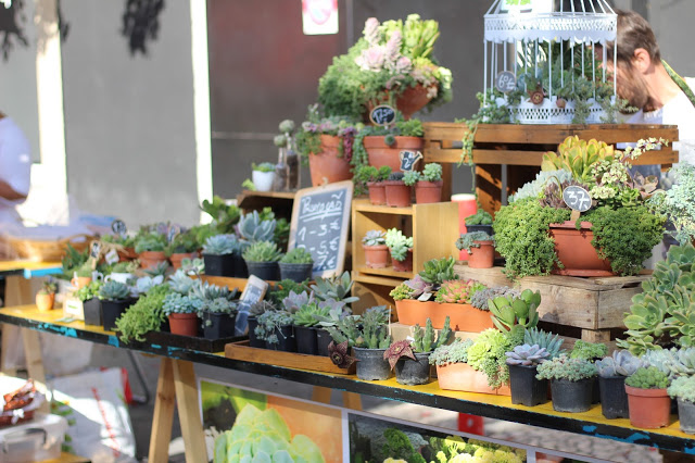 mercado biológico + mercado do lx factory + suculentas + lx factory + domingos em lisboa 