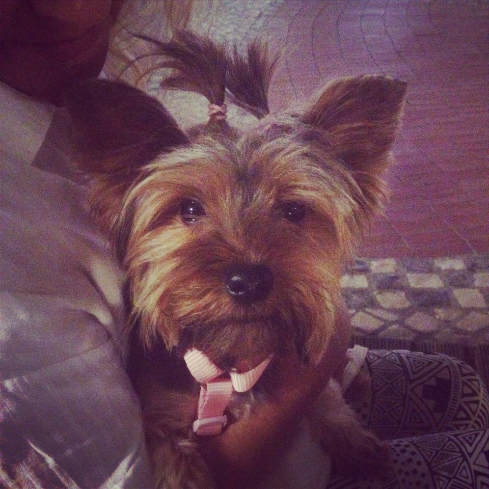 10523180_10201561948244028_2062629626_o.jpg 10523180_10201561948244028_2062629626_o.jpg