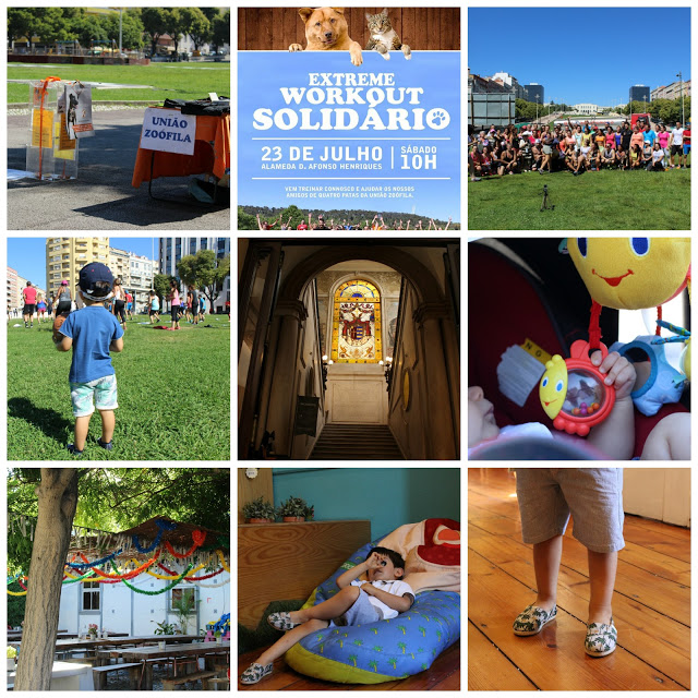 sugestões de fim-de-semana + paez + loja paez em lisboa + loja paez rua do alecrim + extreme workout + powr outdoor fitness + the studio + evento solidário + união zoófila + palácio chiado + exercício outdoor + insanity + lx factory