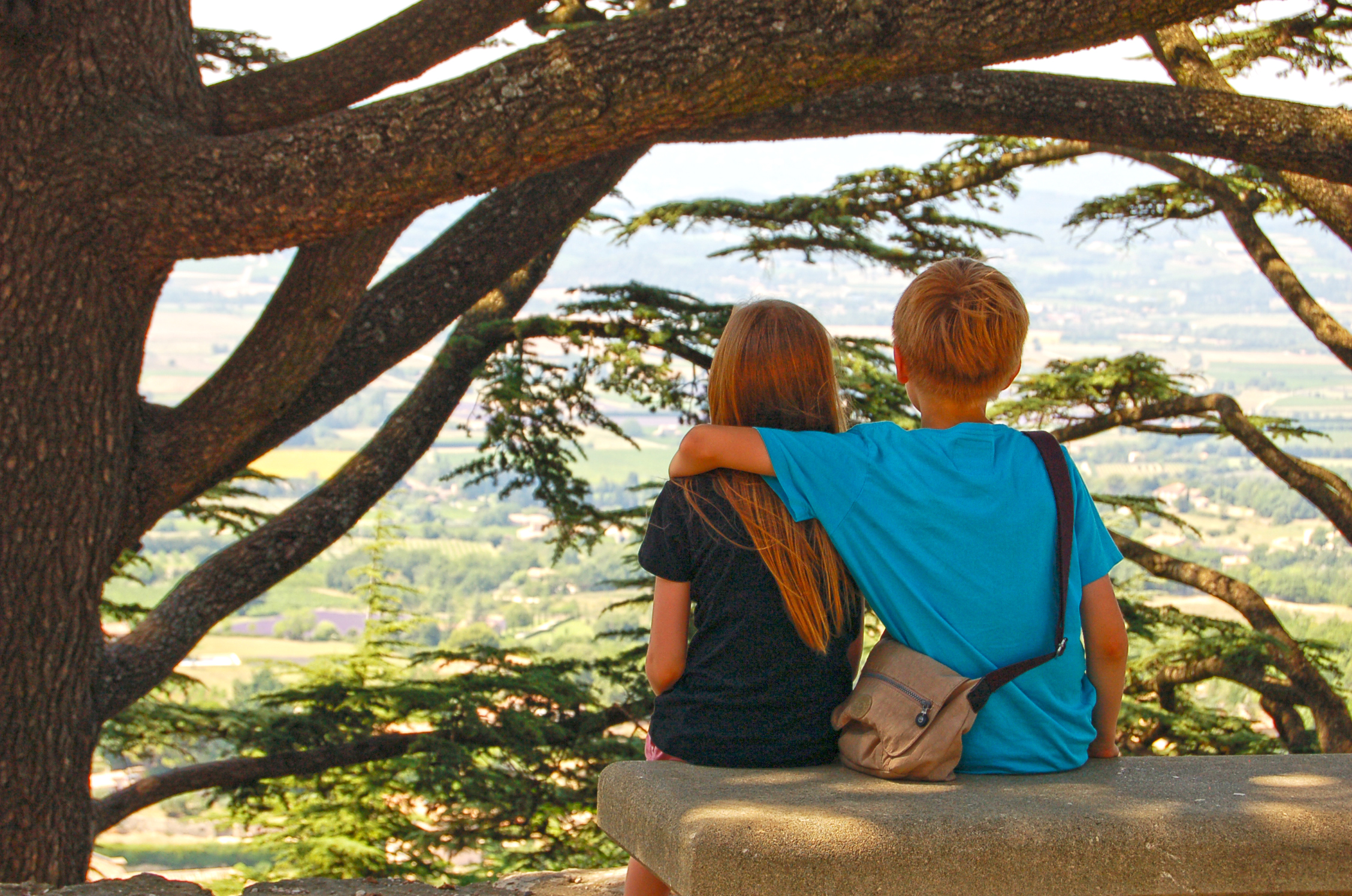 DSC_0824.JPG DSC_0824.JPG