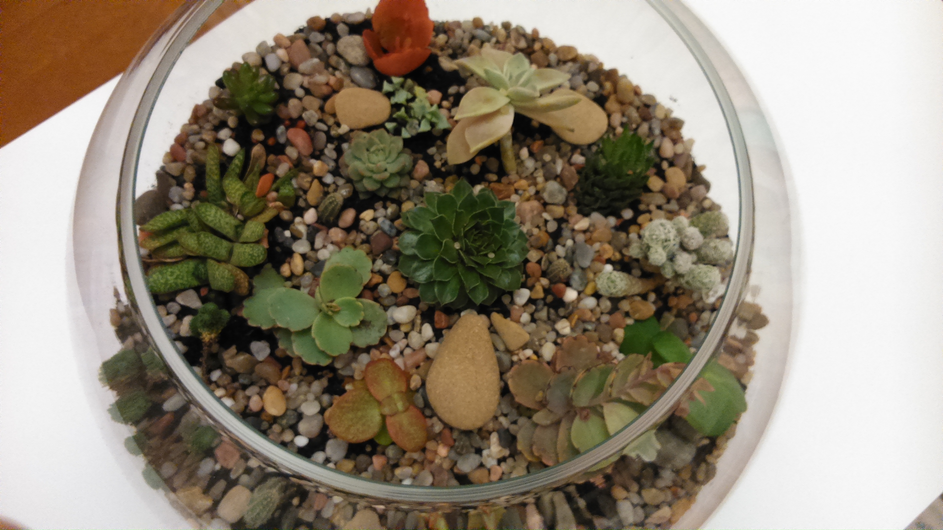 DSC_0878.jpg DSC_0878.jpg