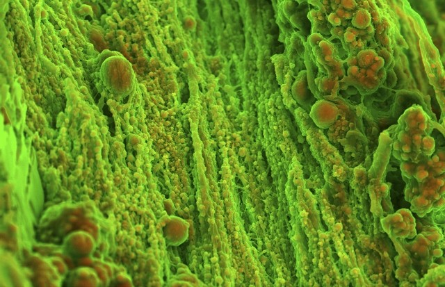 ??????????????????????????????????????????????????