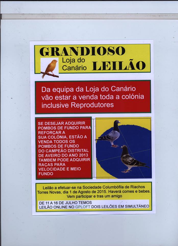 Leilão Loja Canário.jpg