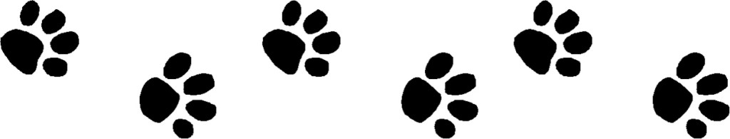 pawprintsdivider