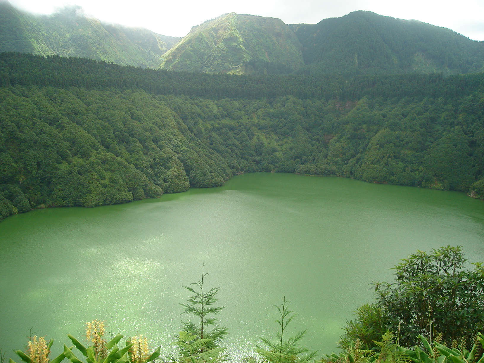 DSC02486.JPG DSC02486.JPG