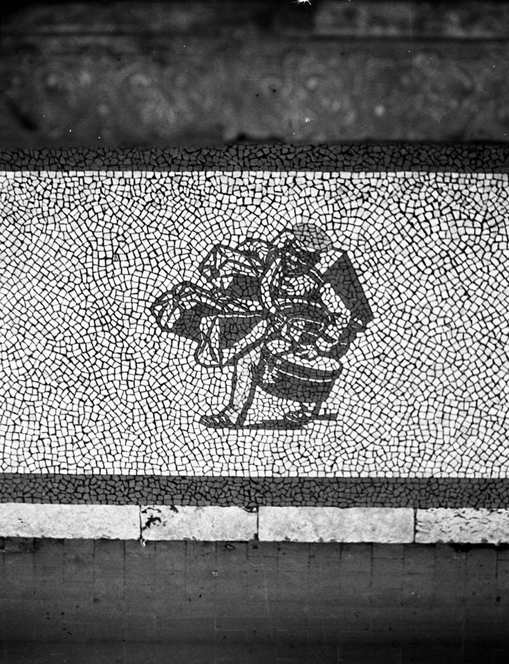 11155173_10206603881245728_2573737379654237255_o.j