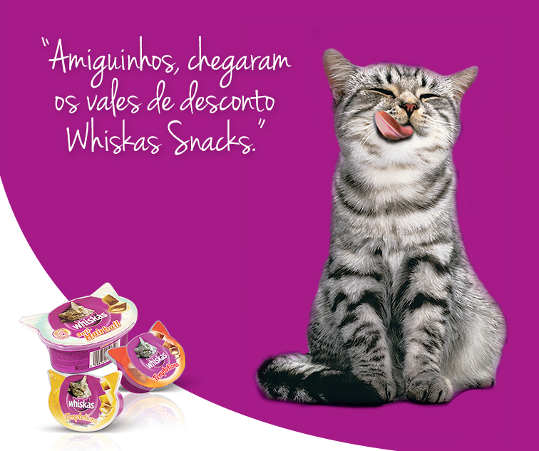 11033186_1084866178194705_8750997793933548158_n (1