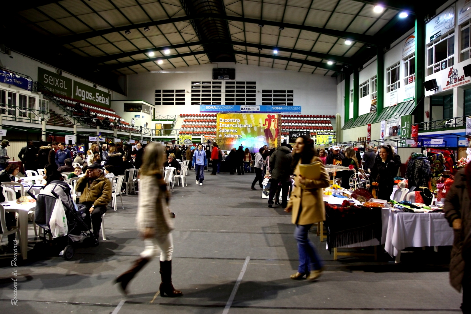 Soito da Ruiva em Corroios Seixal (008)