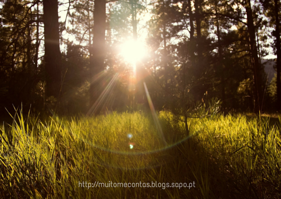 Copy of Copy of Copy of 5 apps para ser mais feliz