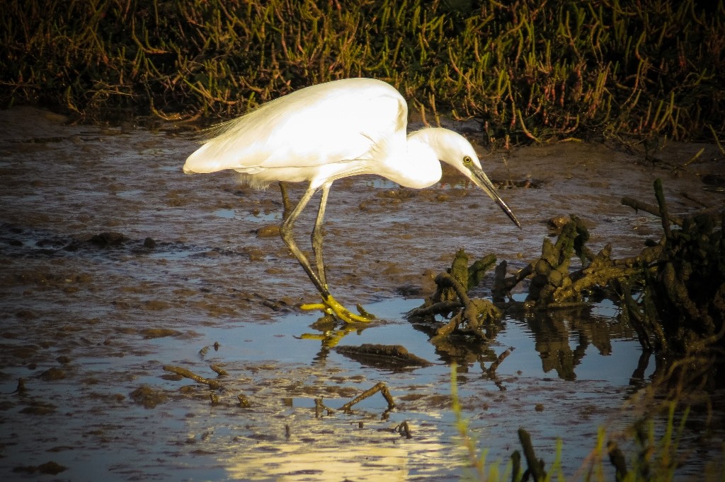 parque tejo-4 (1024x682)