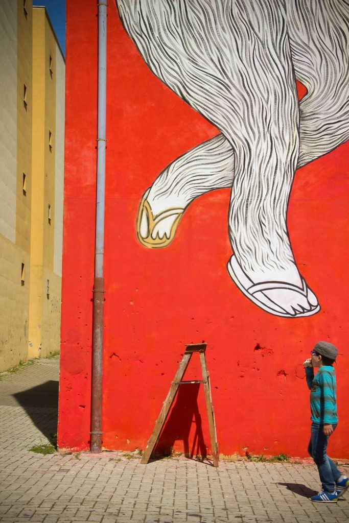 quinta do mocho o bairro i o mundo b 25