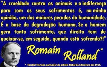 11041729_873957022664831_5189358268276748356_n[1].