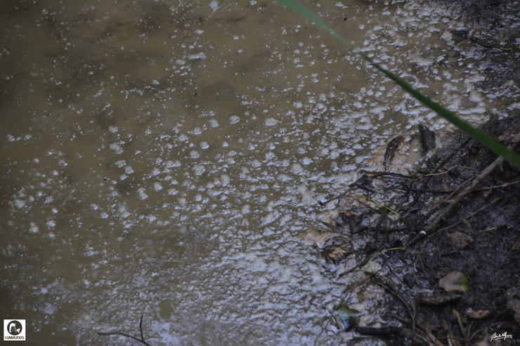 _D702530.JPG