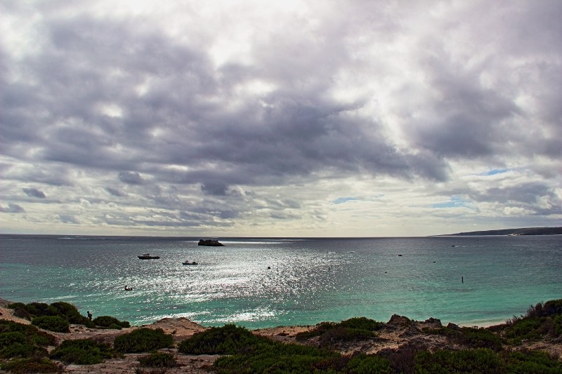 hamelin bay 3 (800x533)