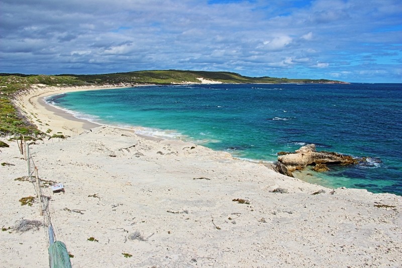 hamelin bay 7 (800x533)