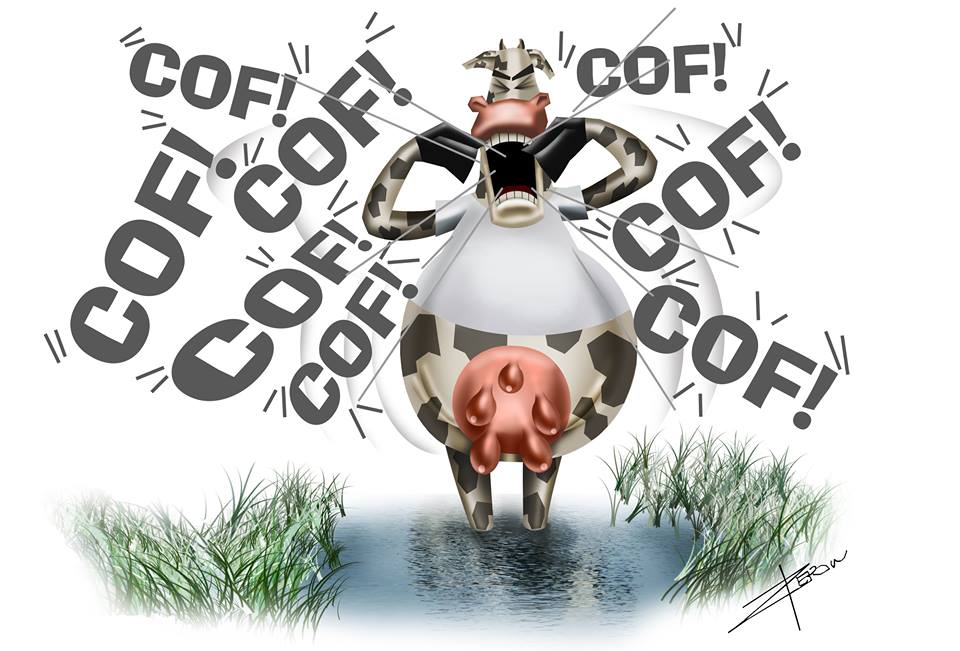 Nem Que a Vaca Tussa.jpg