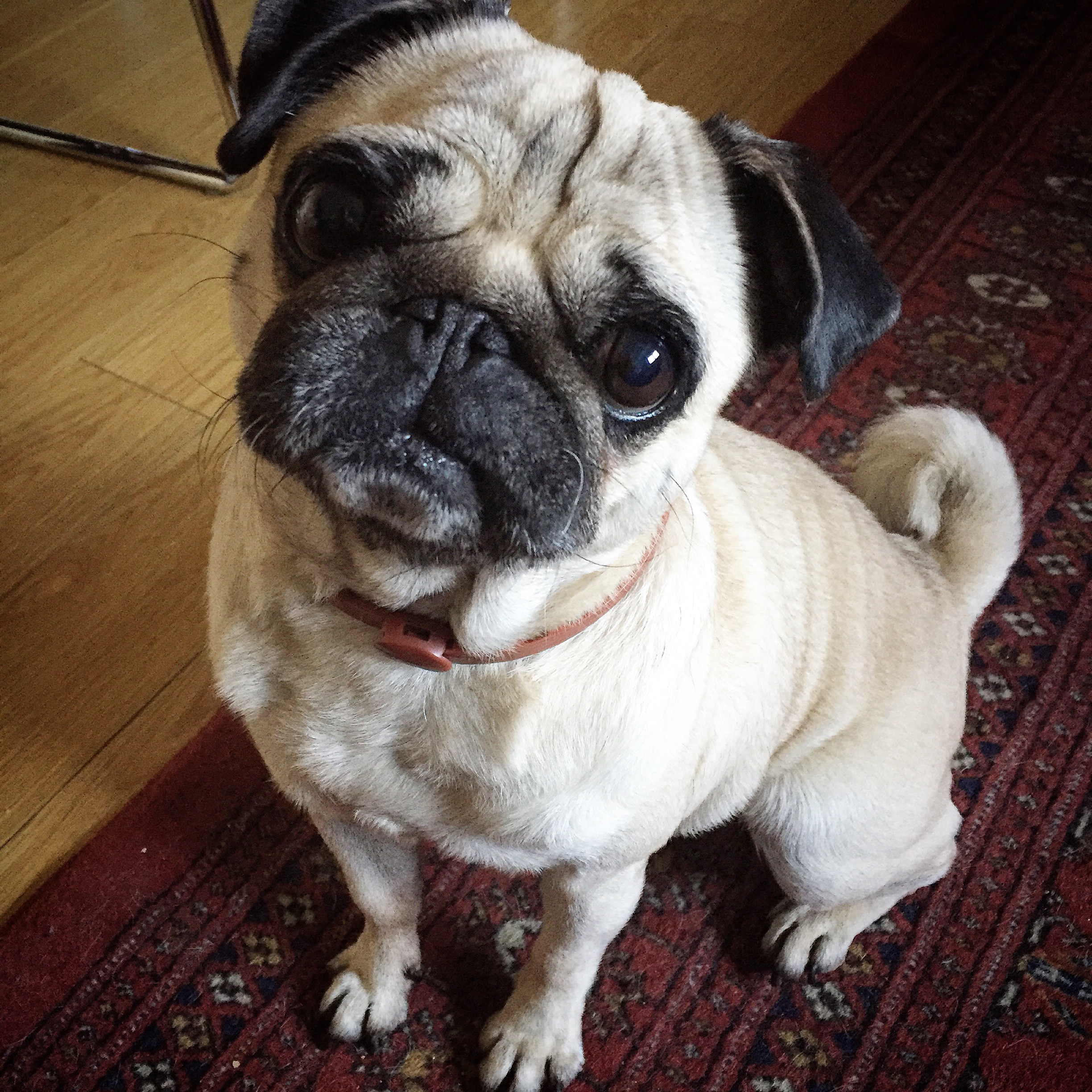 IMG_1662.JPG IMG_1662.JPG