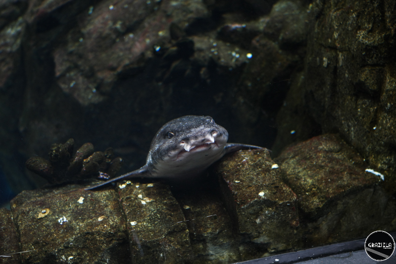 IMG_4609-6.jpg IMG_4609-6.jpg