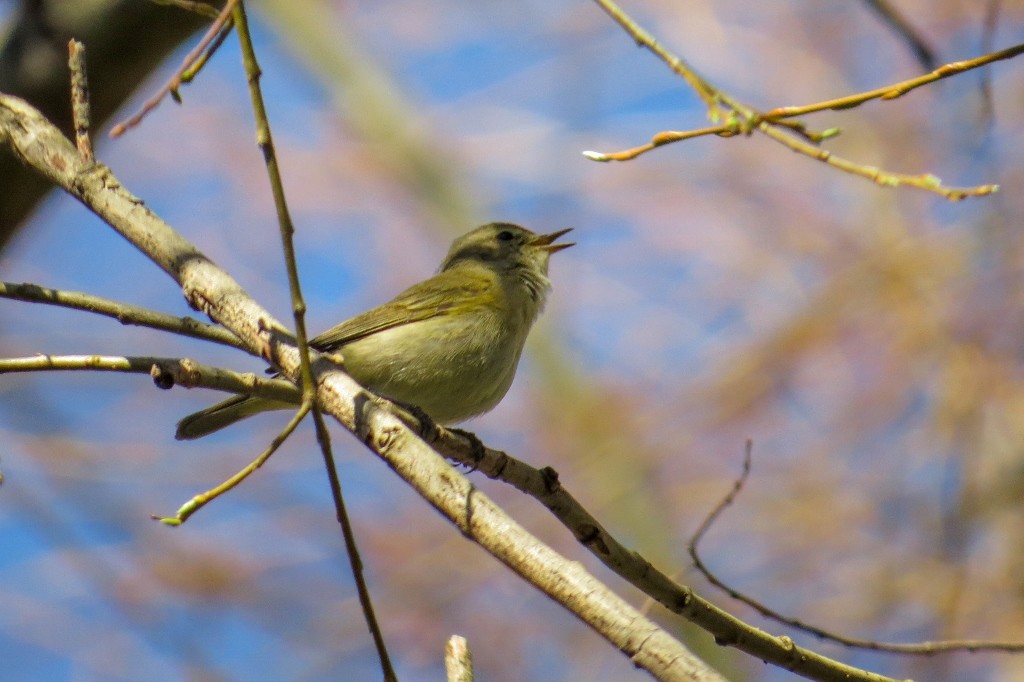 lagoa da estacada a 14