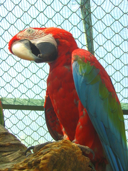 fico melhor de ladecos