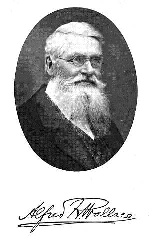 Alfred_Russel_Wallace_-_Project_Gutenberg_eText_14558