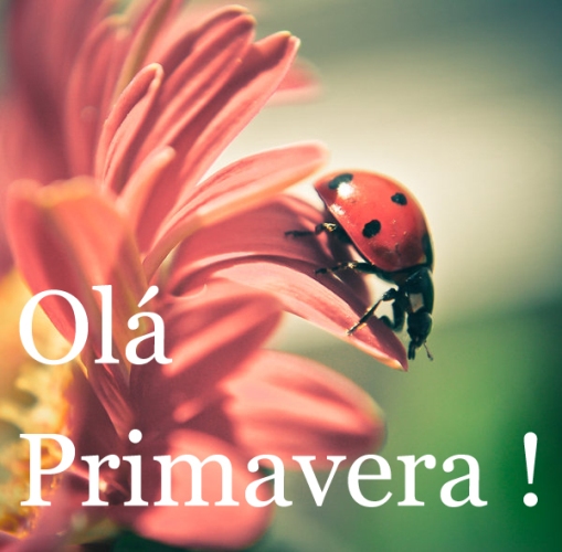 ola-primavera_MEMOS_[1].jpg