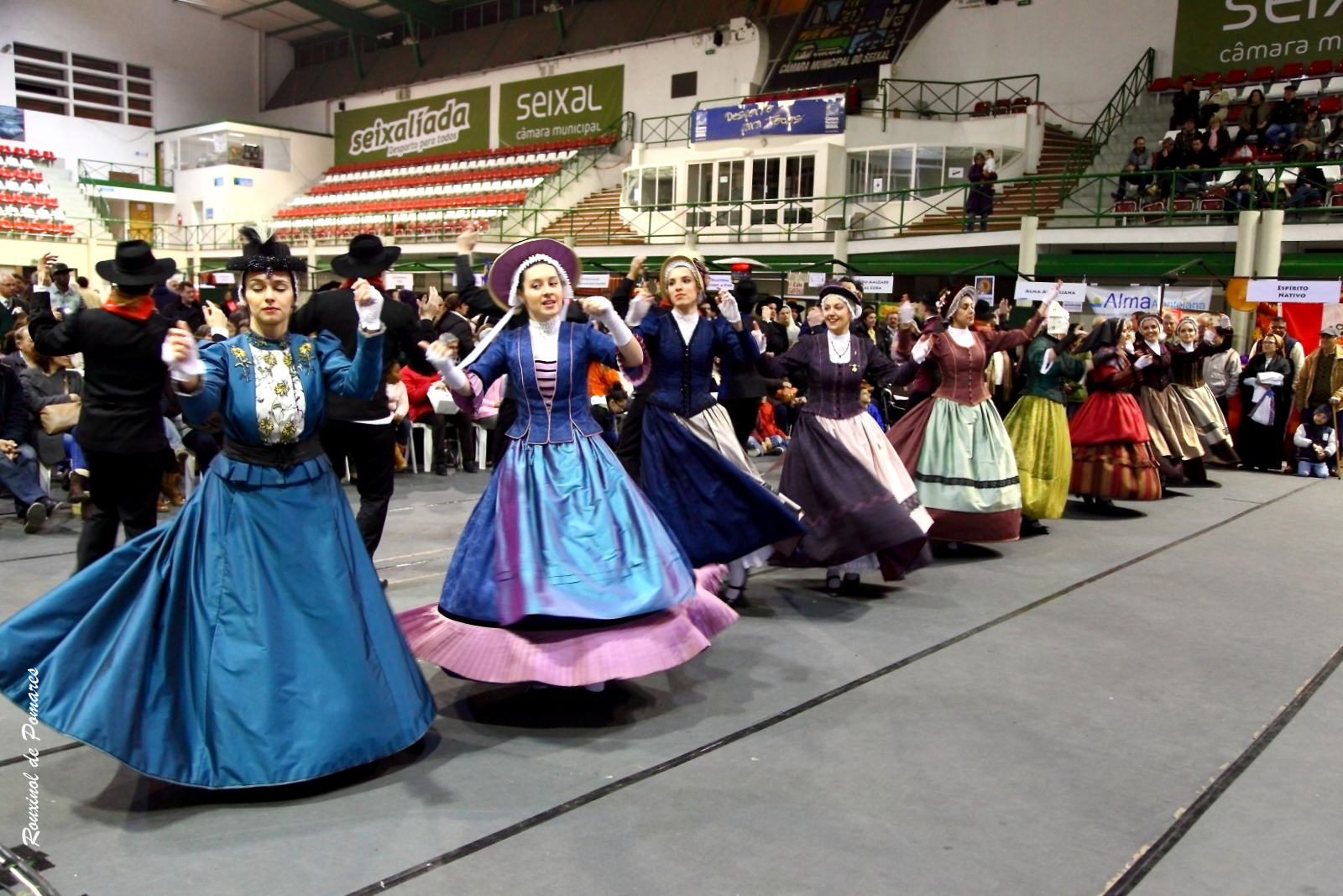 Soito da Ruiva em Corroios Seixal (0018)