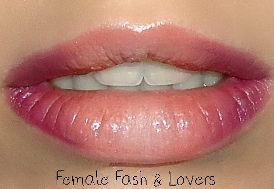 DSC00038 modified copy.jpg