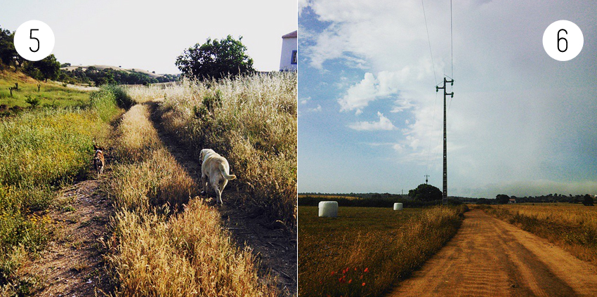 6-30-2-maio.jpg 6-30-2-maio.jpg