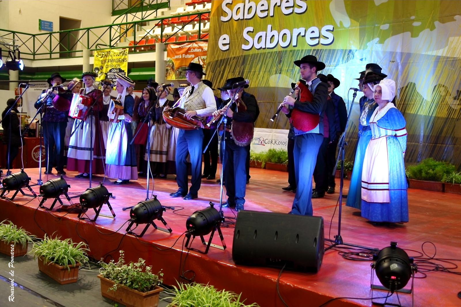 Soito da Ruiva em Corroios Seixal (009)