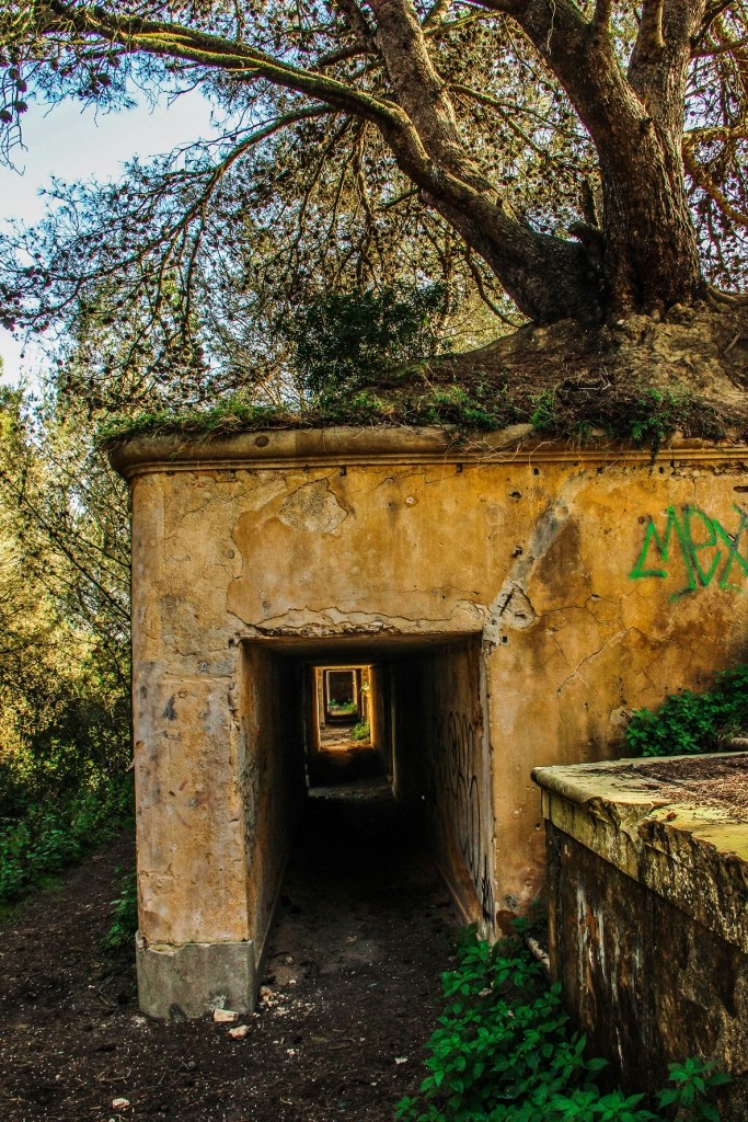fortes trafaria d 3