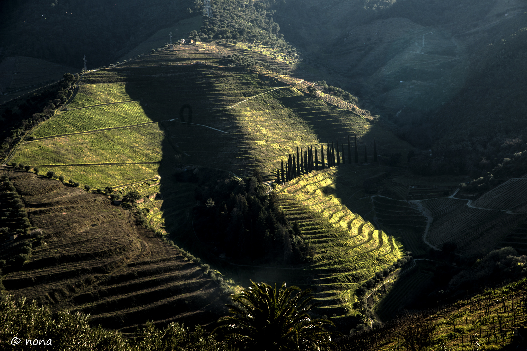 2015 - Rota das Amendoeiras (388).jpg