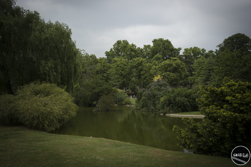 _SAM4985-39.JPG _SAM4985-39.JPG