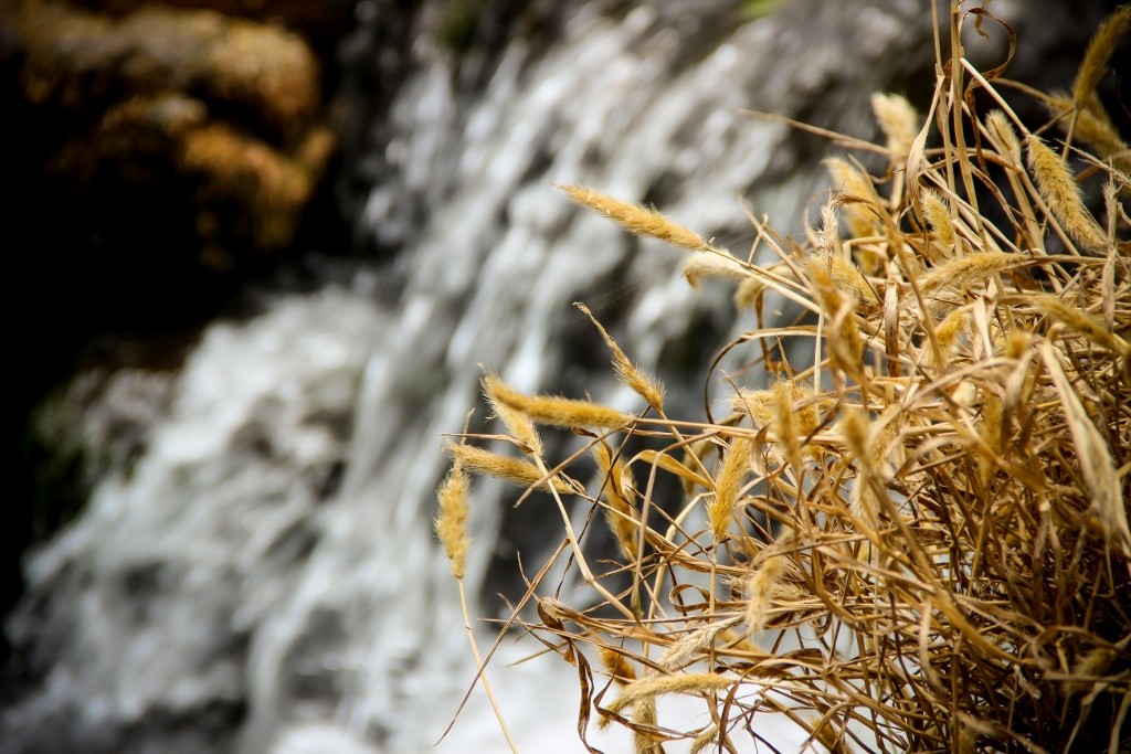 cascatas de mourao e 1