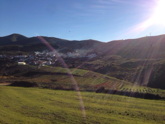 20131201-143552.jpg
