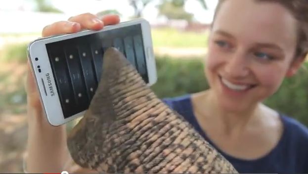 elefante smartphones galaxy note