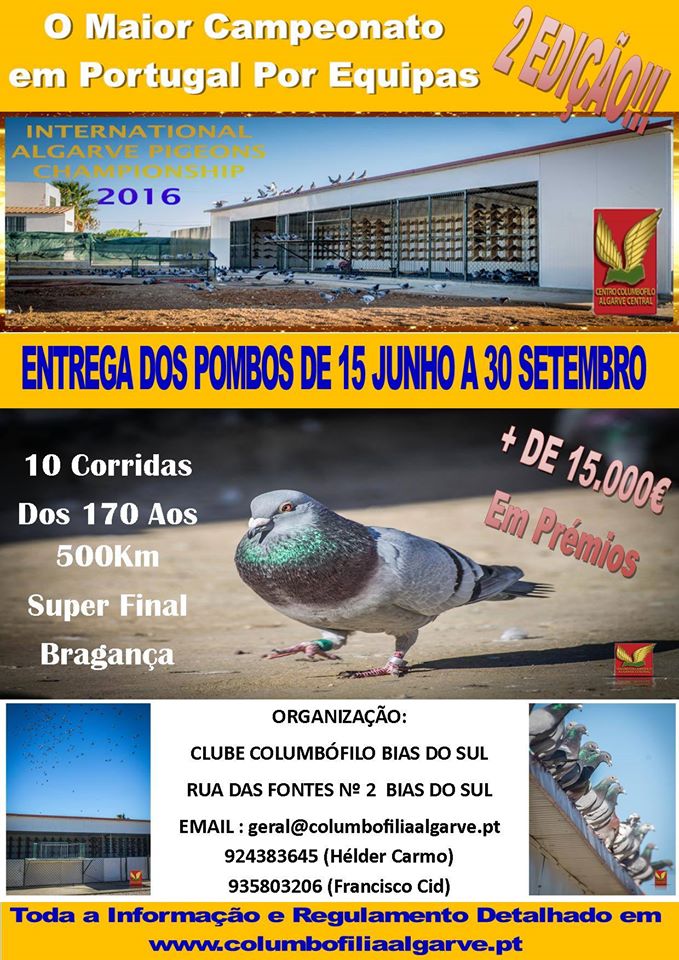 Derby Bias do Sul.jpg