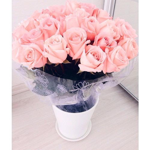 flores 1.jpg flores 1.jpg