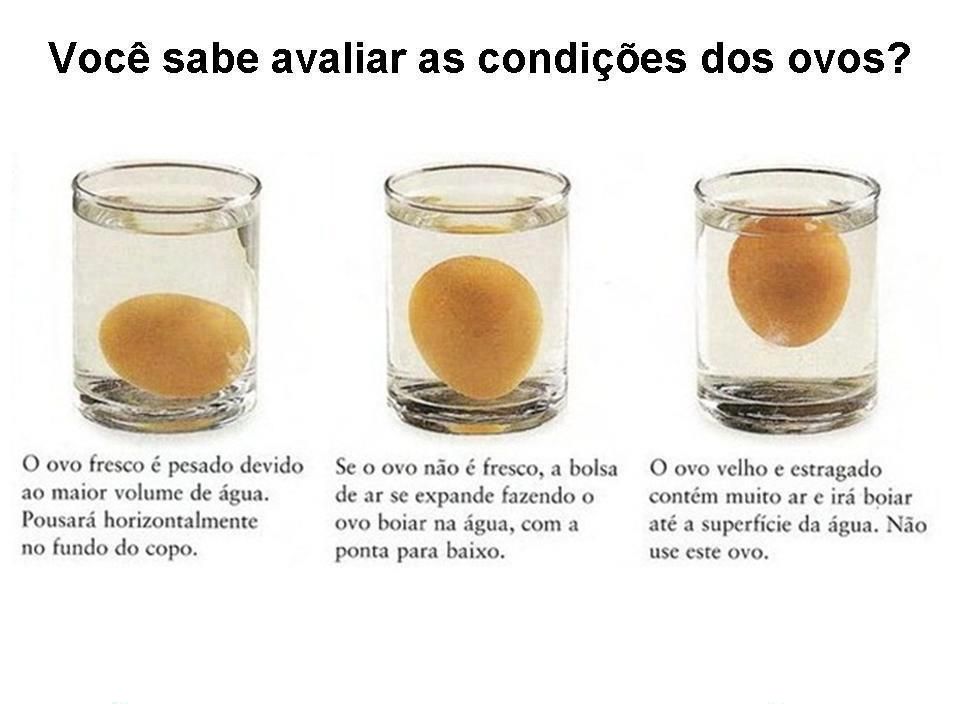 ovos nutrição alimentação
