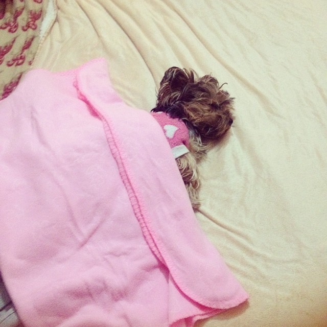 1724704_10200820867797480_806024078_n.jpg 1724704_10200820867797480_806024078_n.jpg