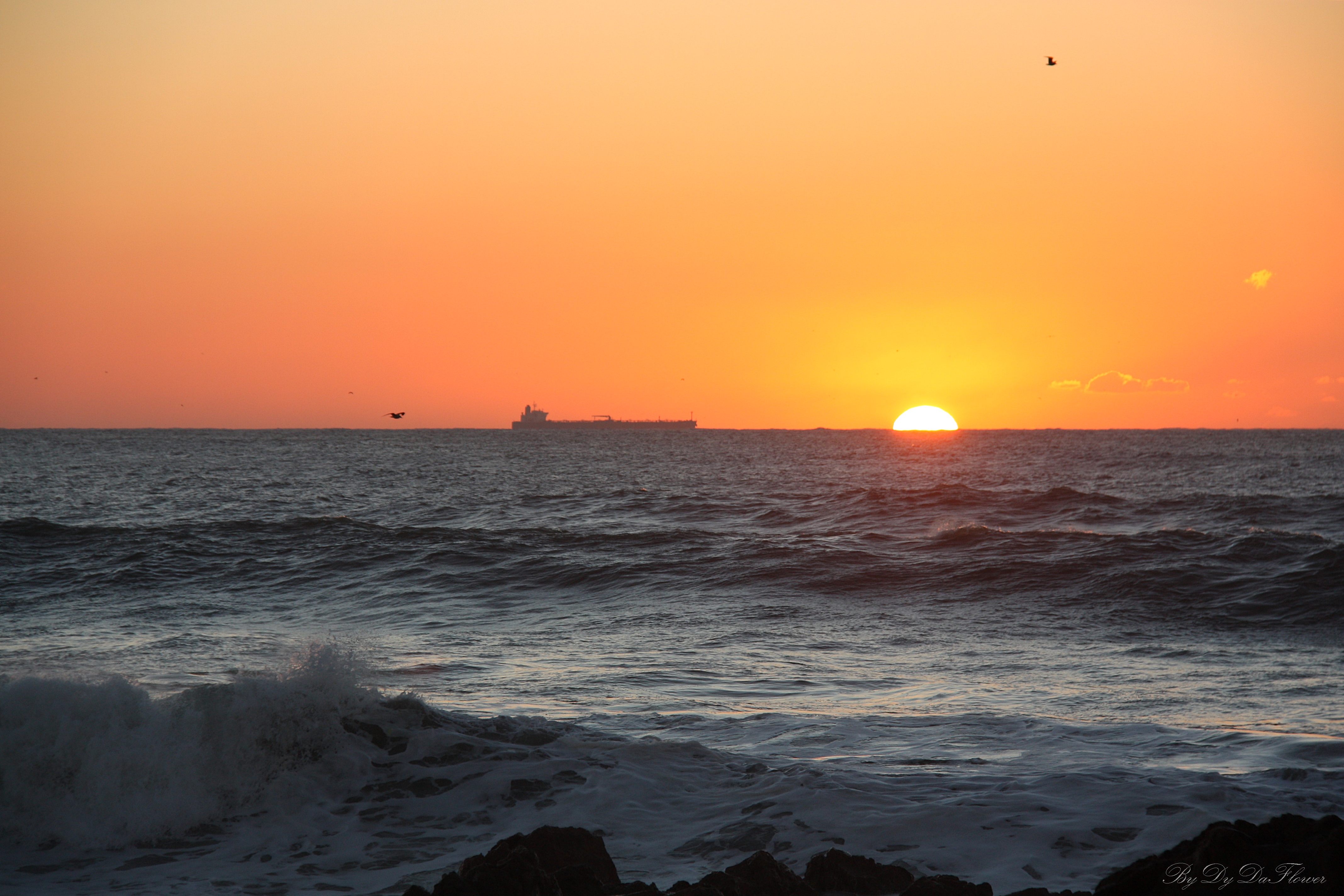 IMG_0101.JPG IMG_0101.JPG