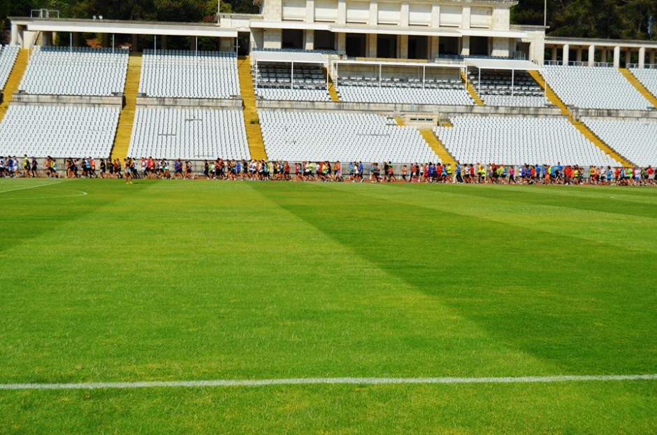 1236304_217244568434327_1217808348_n