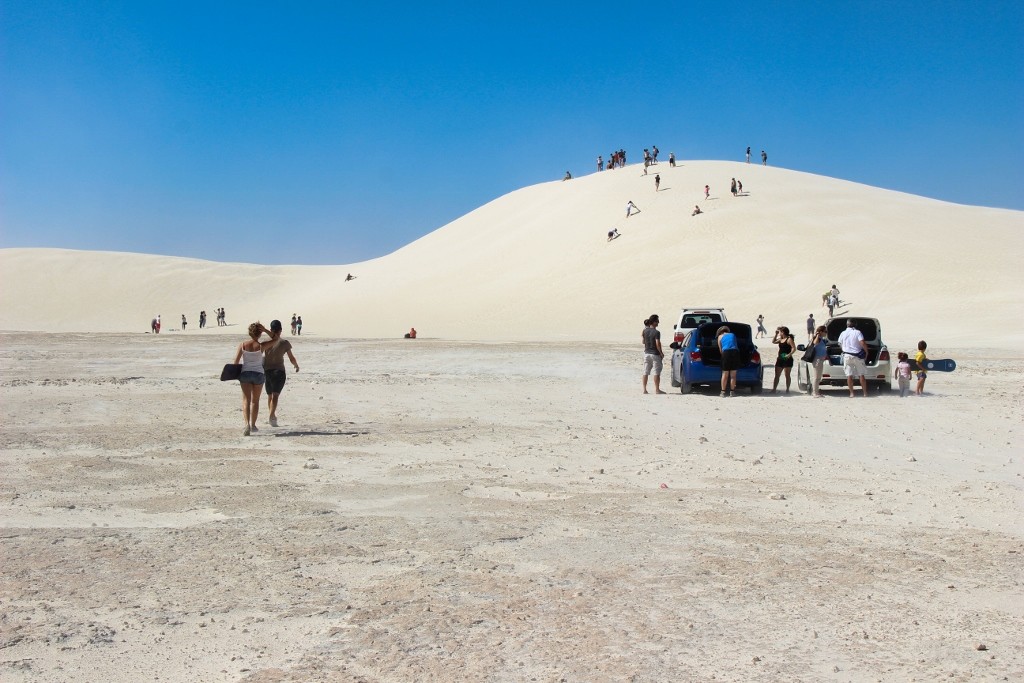 sandbourd lancelin a 15