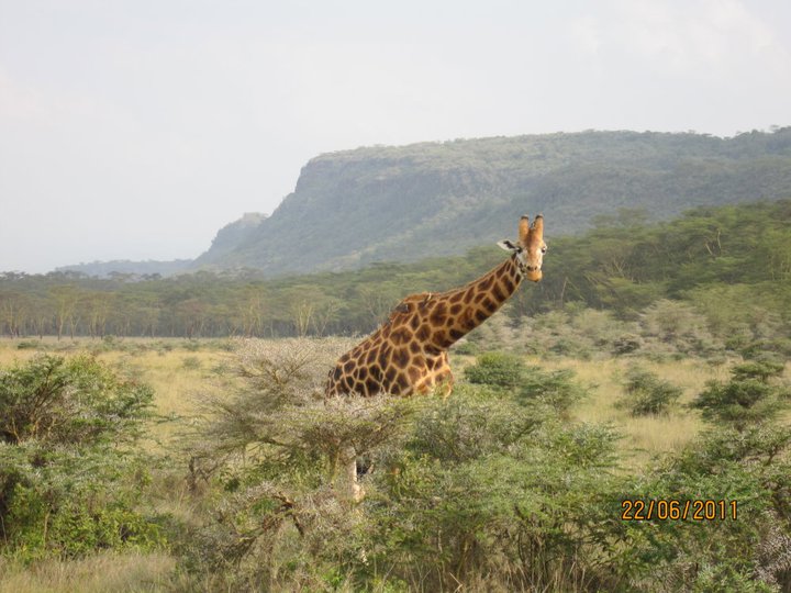 © www.facebook.com/Africanatours